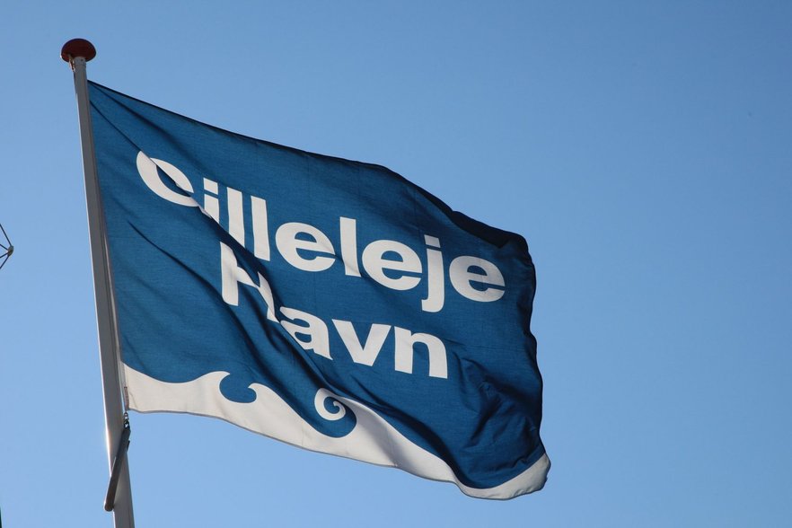 Havneflag